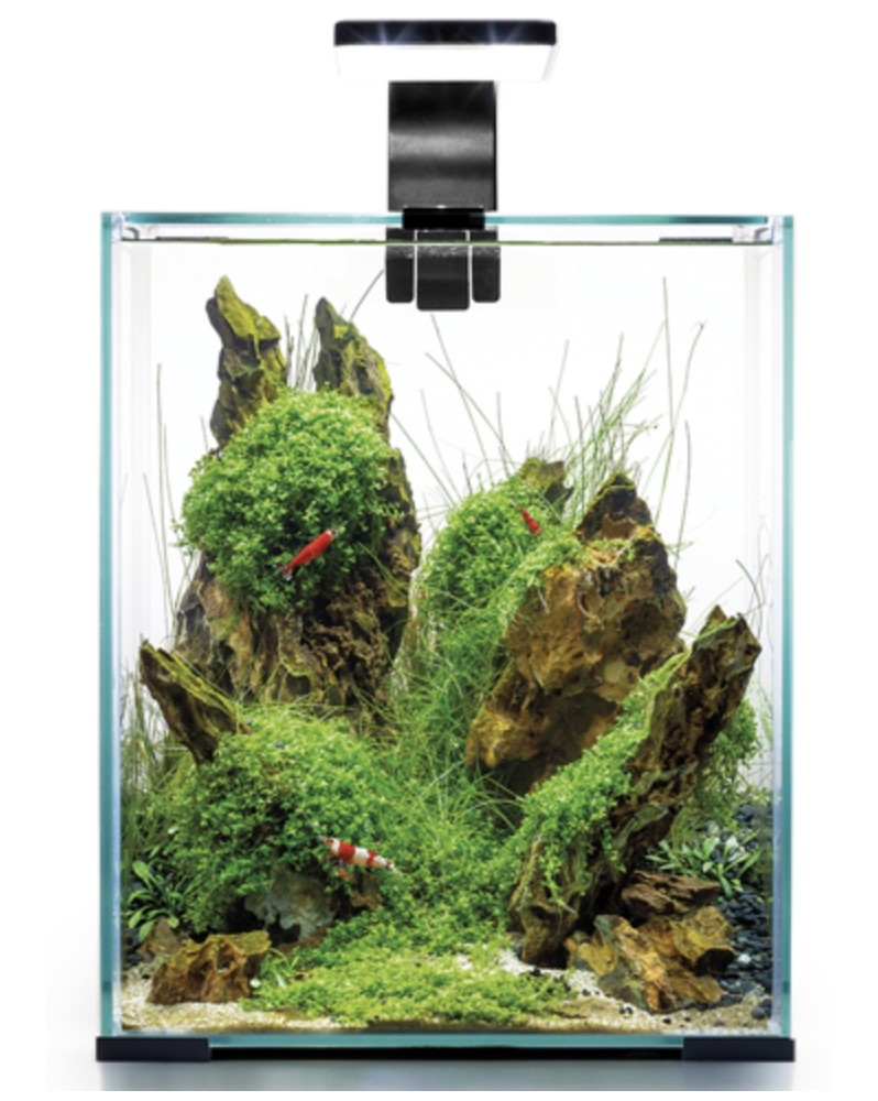 Nano aquarium Shrimp Set Day Night 29x29x35 cm