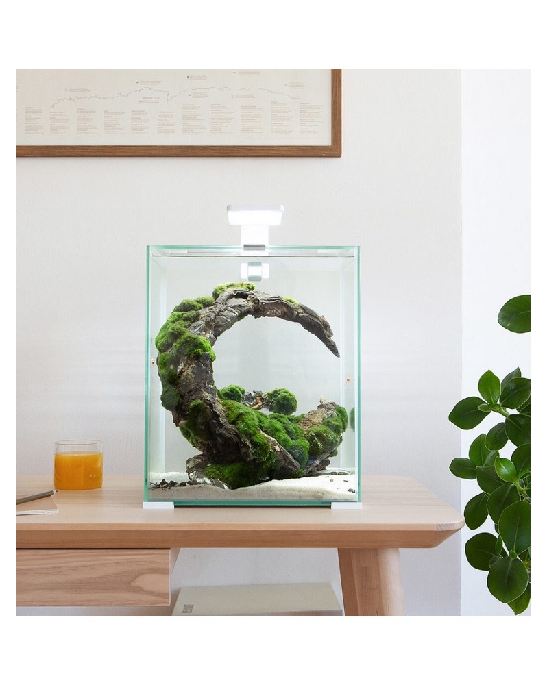 Shrimp Set Smart Day & NIght - 30L