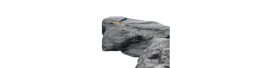 Wild Rhino Stone