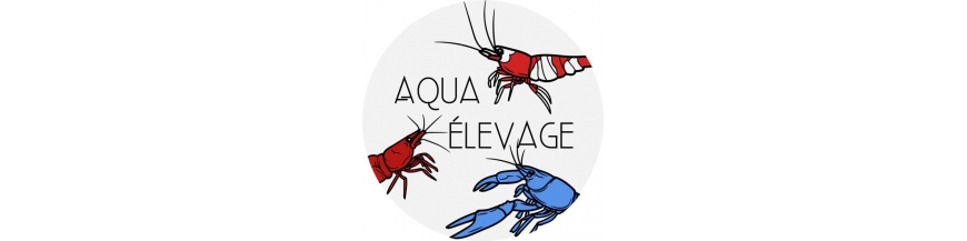 Aqua Elevage