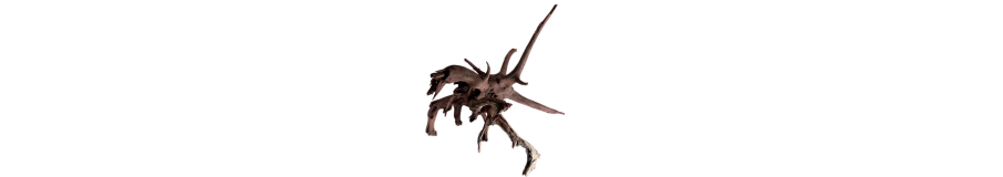 Racines pour Aquarium | Spider Wood & Bois Naturel