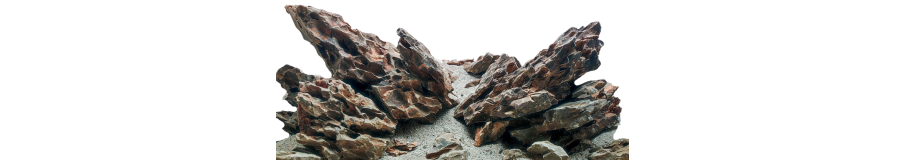Hardscape sur Photo | Décors Aquascaping Prêts à Poser