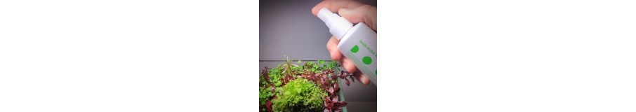 Wabi-Kusa | Créez votre Îlot de Verdure Aquatique