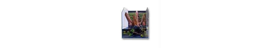 Terrariums et Vivariums en Verre