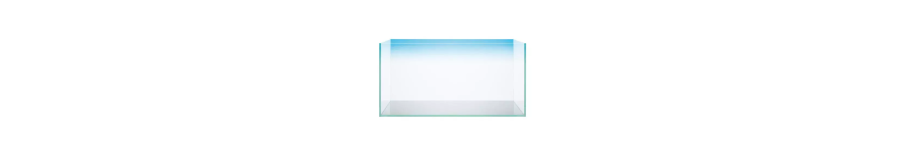 Posters de Fond Aquarium | Fonds Noirs, Colorés & Naturels