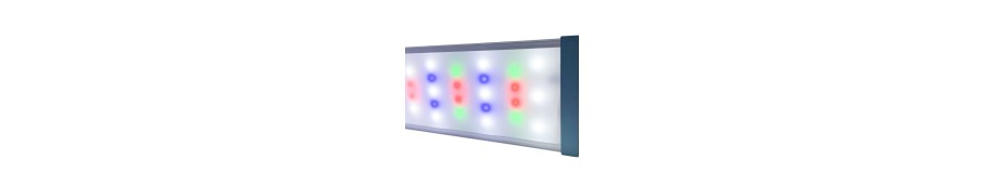 Rampe LED WRGB Aquarium | Éclairage WRGB pour Aquarium Planté & Aquascaping