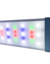 Avec Leds (W)RGB