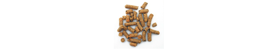 Snowflakes Crevettes | Nourriture Non Polluante & Biofilm