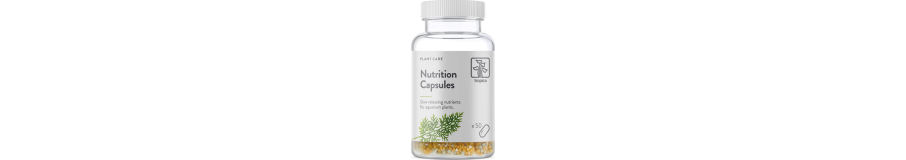 Engrais de Sol Aquarium | Capsules & Tablettes Racinaires
