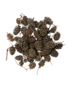 Les Produits Naturels