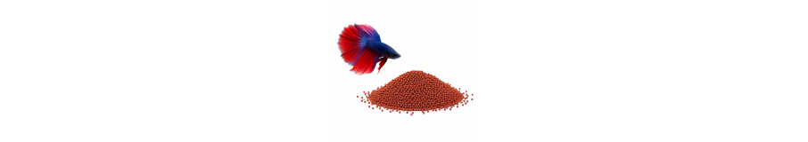 Nourriture pour Betta | Alimentation du Combattant