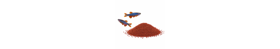 Nourriture Petits Poissons | Microfish, Guppy, Rasbora