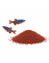 Pour Petits Poissons
