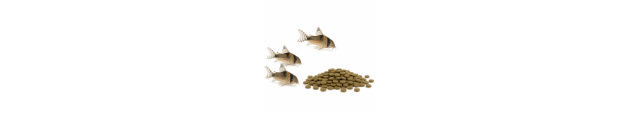 Nourriture Poissons de Fond | Loricaridés & Corydoras