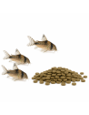 Pour Poissons de fond