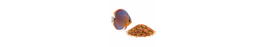 Nourriture pour Discus | Alimentation du Roi du Bac