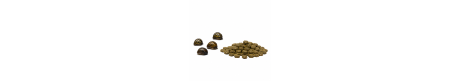 Nourriture pour Escargots d'Aquarium | Algues & Calcium