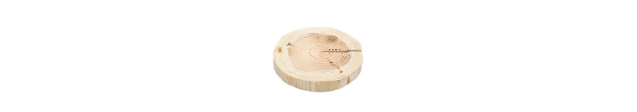 Bases & Supports pour Wabi-Kusa | Sublimez vos Créations