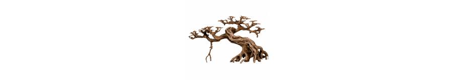 Bonsaï en Céramique pour Aquarium | Arbre Aquascaping