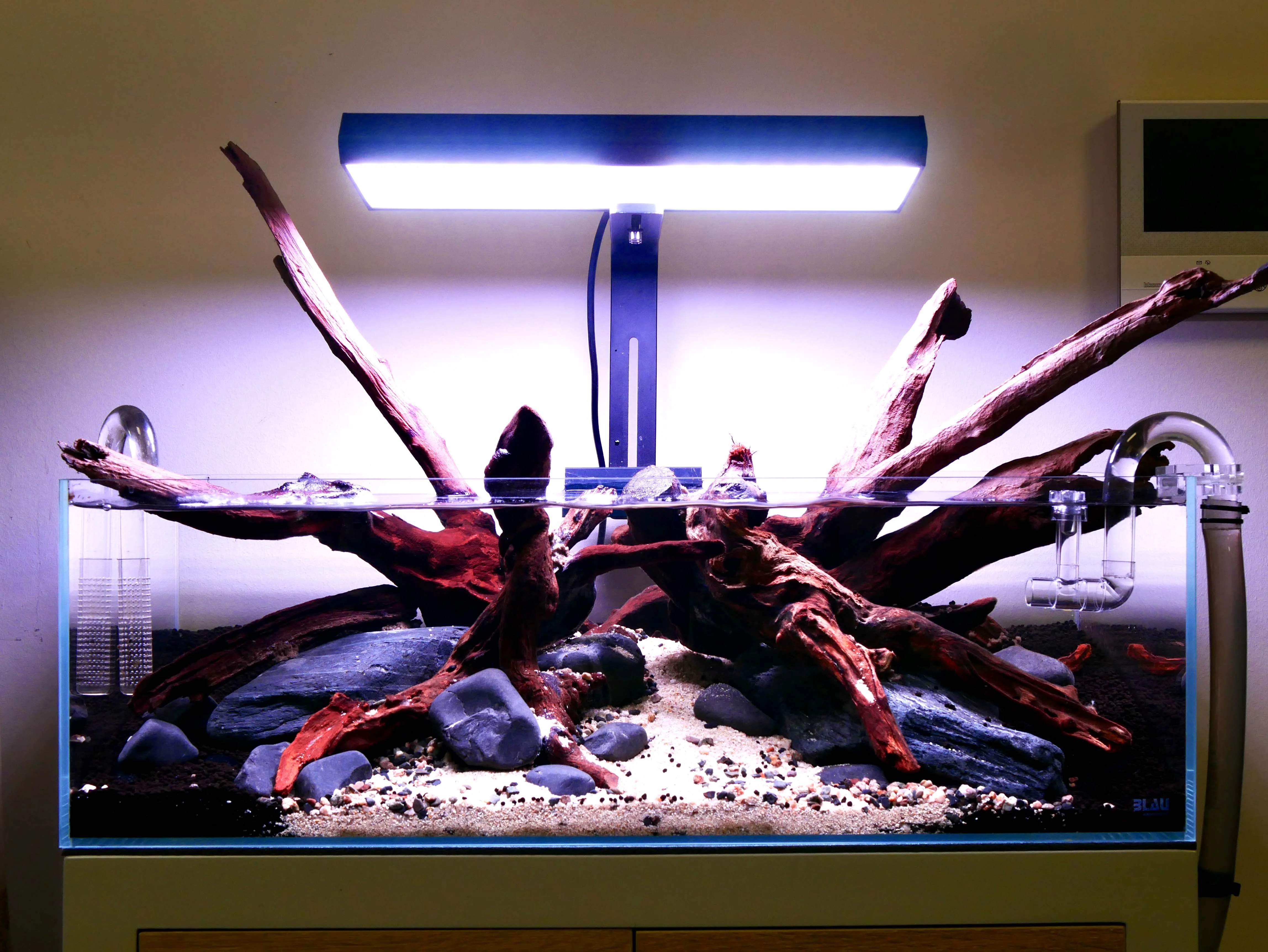 Roder un aquarium sans poisson — la méthode à vide Rodage aquarium sans poisson - cyclage à vide source ammoniaque nourriture tests eau bactéries démarrage méthode pas à pas