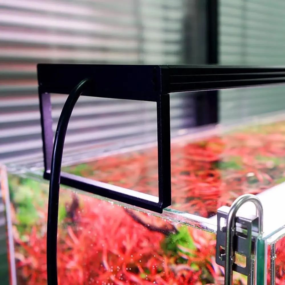 Chihiros aquarium gamme - rampe LED WRGB Vivid AII B Series contrôleur éclairage aquascaping plantes crevettes programmable