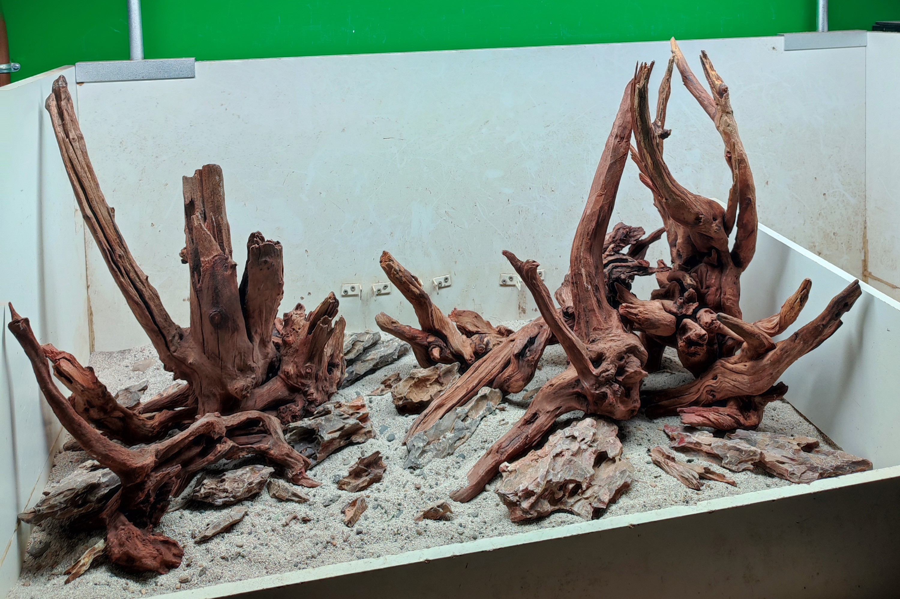 Hardscape sur photo - set décor aquascaping prêt racines pierres composition aquascapeur aquarium planté crevettes