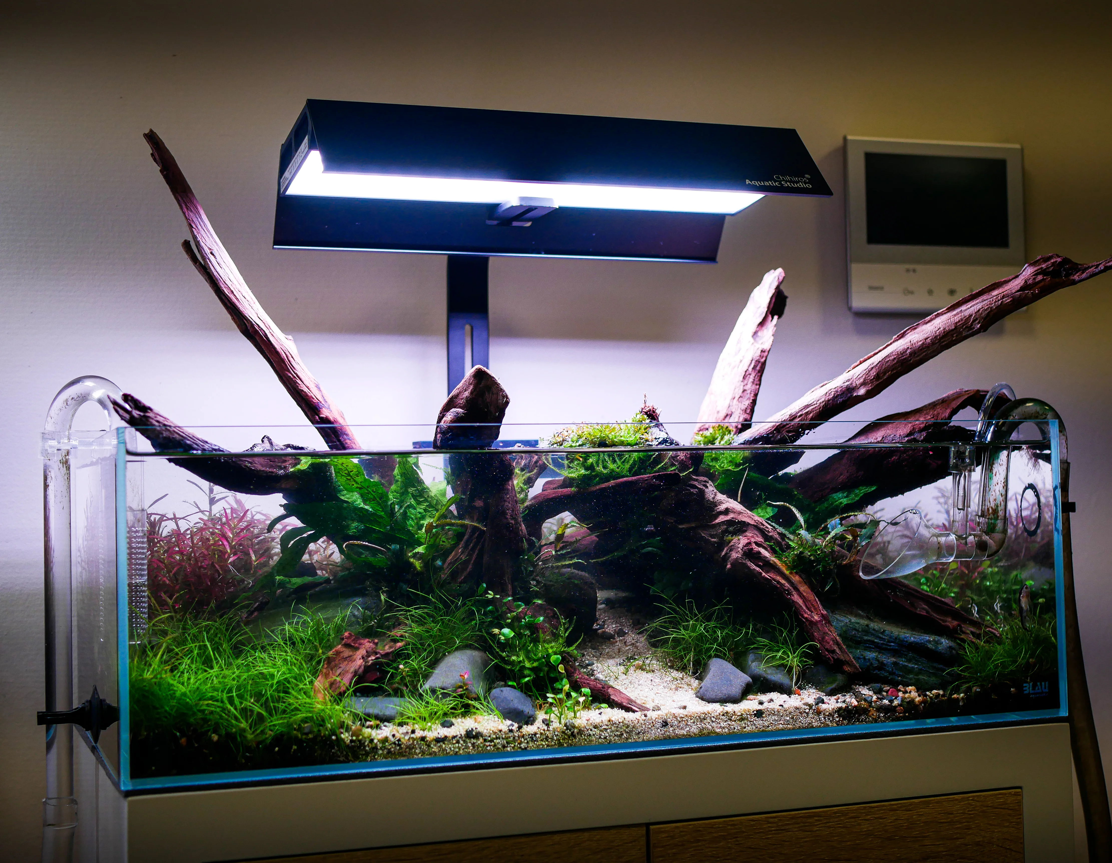 Éclairage d'aquarium — rampes et LED pour plantes et mise en valeur Éclairage aquarium - rampe LED spectre intensité PAR photopériode plantes aquascaping RGB couleurs crevettes bac planté