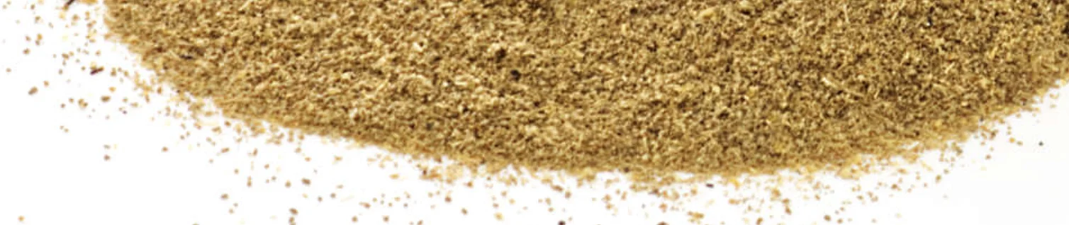 Powder.webp
