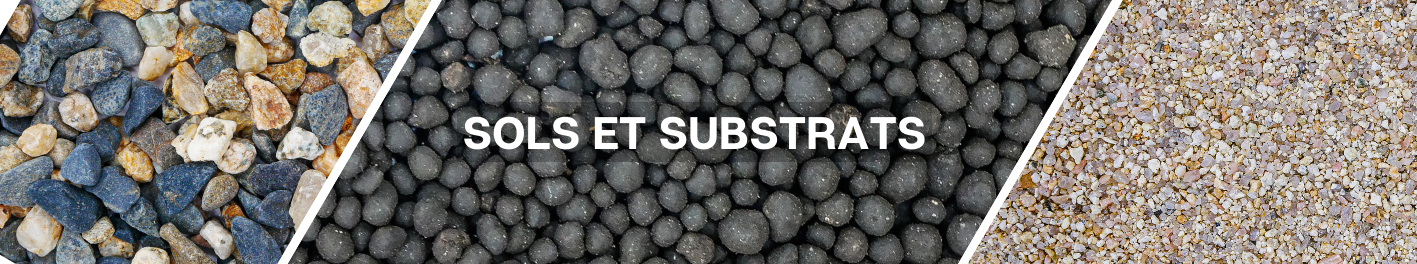 Sub-banner-3.jpg