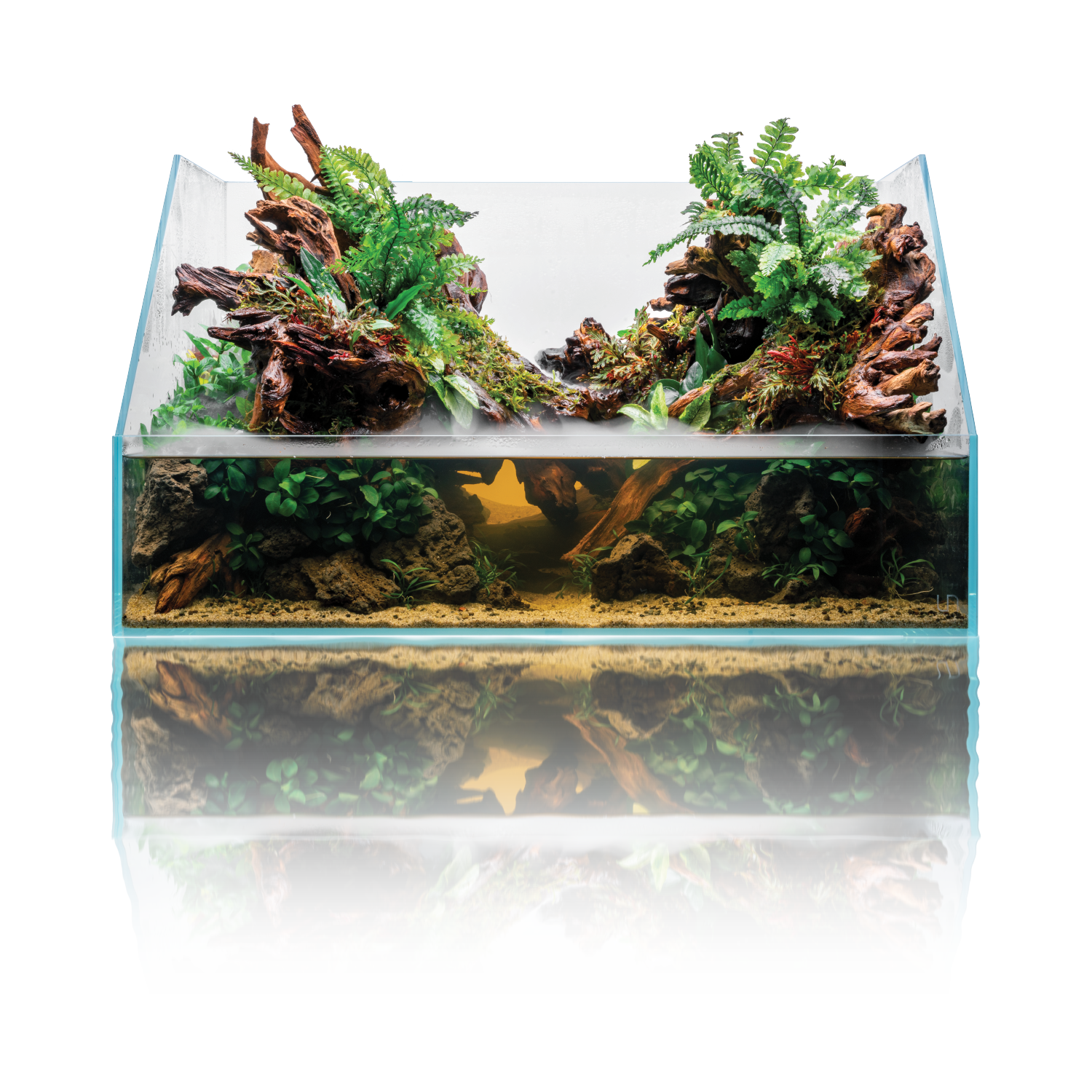 Paludarium aquarium - univers mi-aquatique mi-terrestre plantes palustres hardscape cascade vivarium