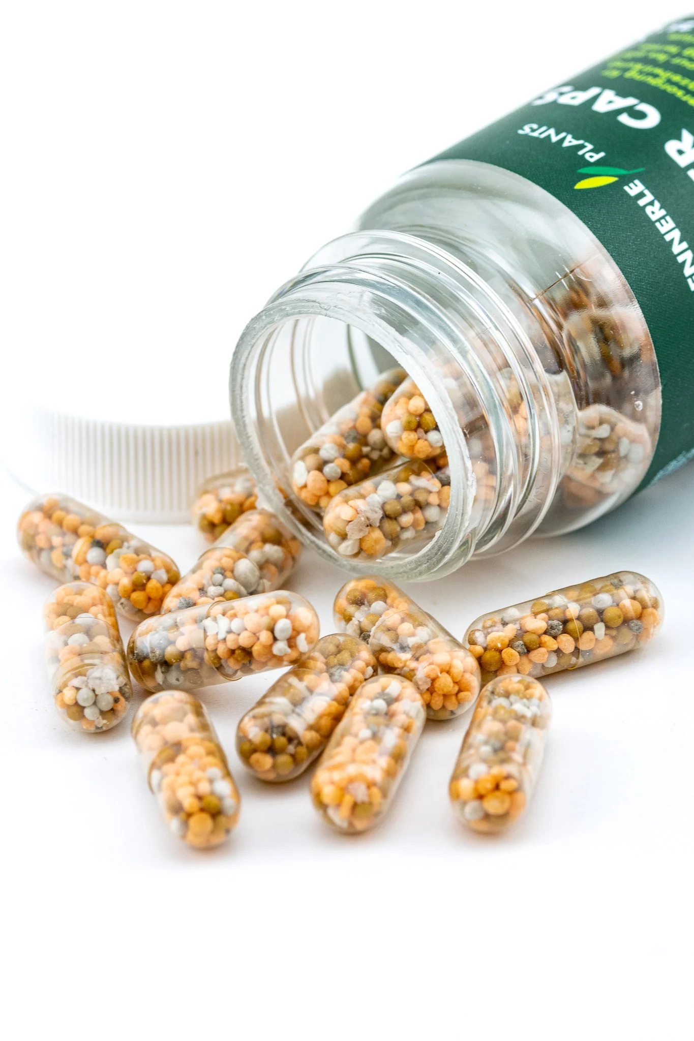 Engrais de sol aquarium - capsule tablette racinaire nutrition plantes racines aquascaping pousse