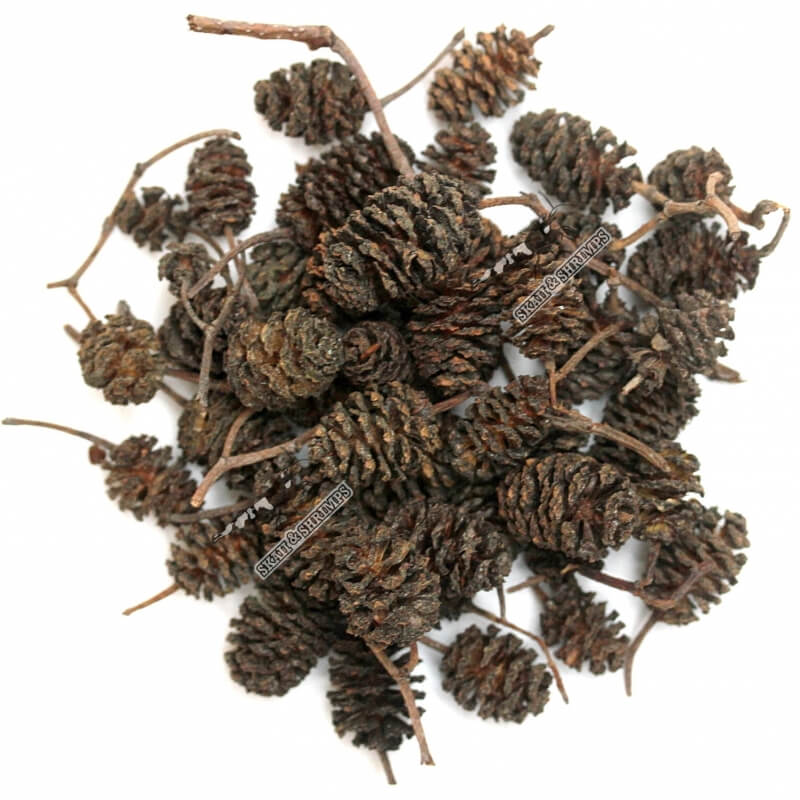 Produits naturels crevettes - tanins cônes aulne écorce extrait végétal blackwater eau ambrée reproduction biotope conditionnement