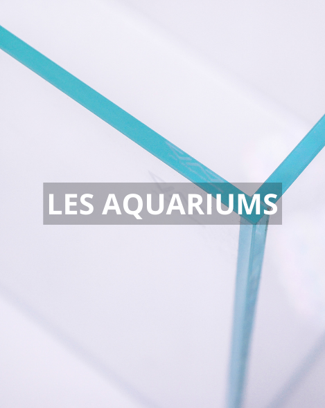 Sub-banner-2.jpg