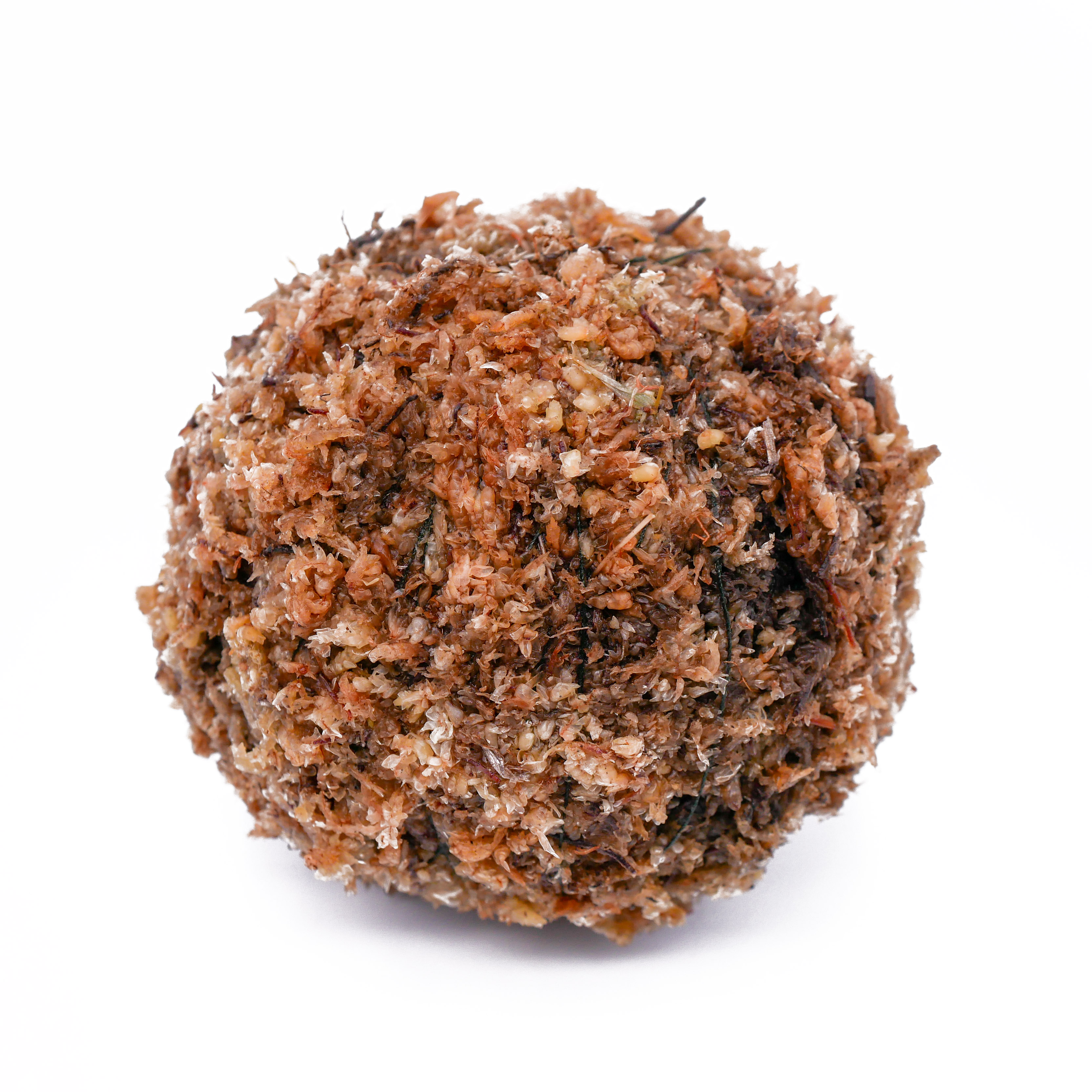 Sphaigne xaxim wabi-kusa terrarium - mousse séchée rétention eau humidité support plantes émergées épiphytes fibres