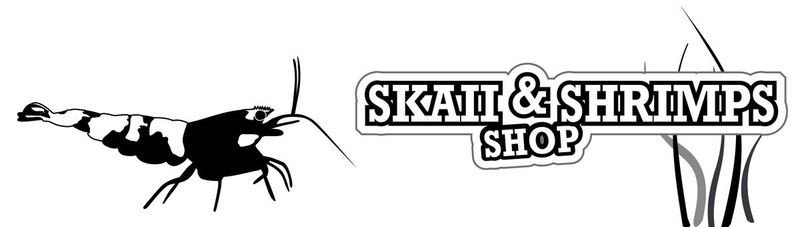 Skaii & Shrimps