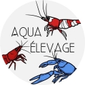 Aqua elevage