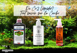 Du Co2 Liquide? Tout savoir sur le Glutaraldéhyde