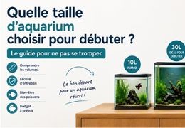 Quelle taille d'aquarium choisir pour débuter ? Le guide pour ne pas se tromper
