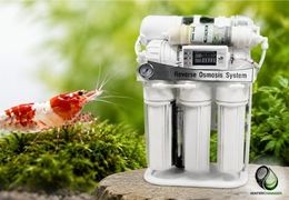 L'eau osmosée pour crevettes : pourquoi et comment l'utiliser