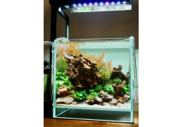 Lutter contre l'évaporation et la chaleur de l'aquarium en été